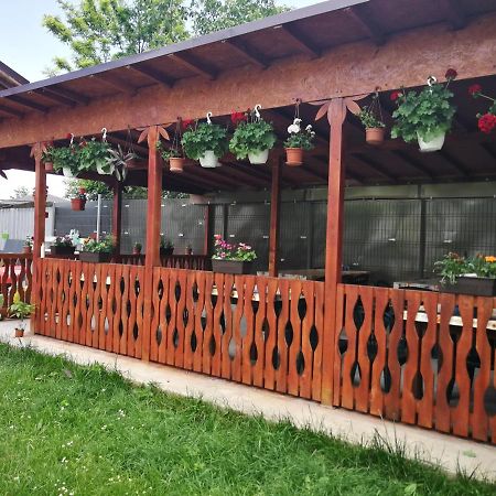 Vila Baciu Hotel Tuzla Buitenkant foto