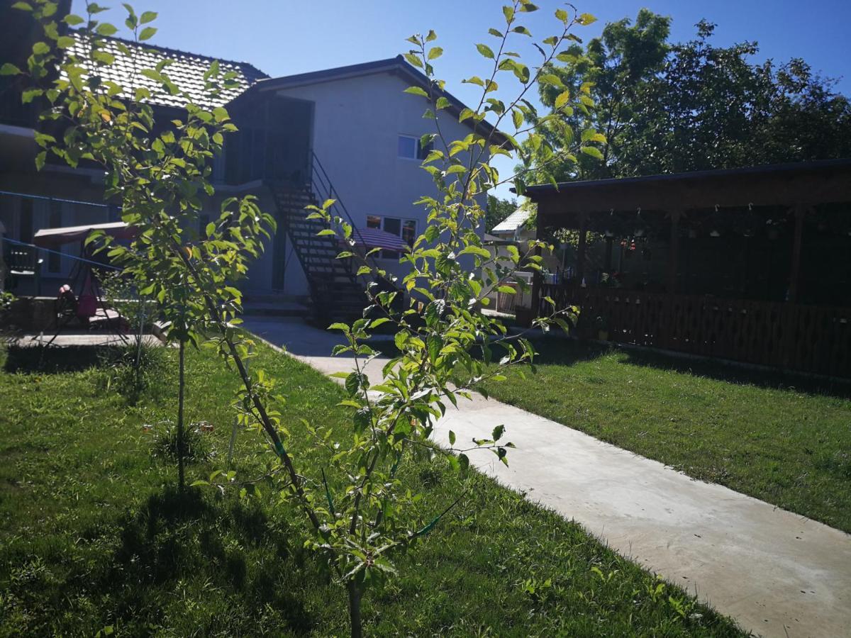 Vila Baciu Hotel Tuzla Buitenkant foto