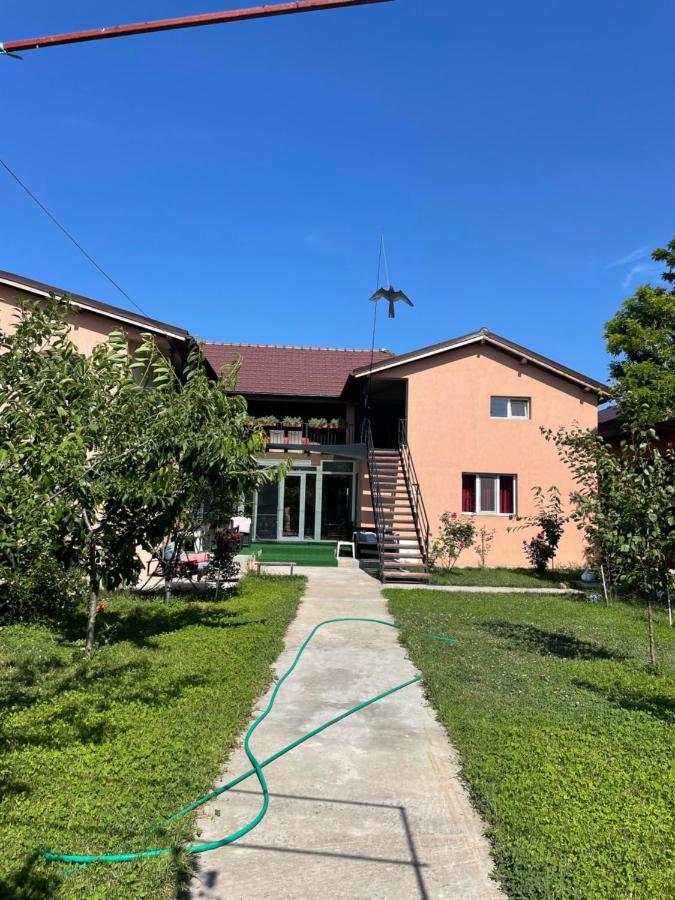 Vila Baciu Hotel Tuzla Buitenkant foto